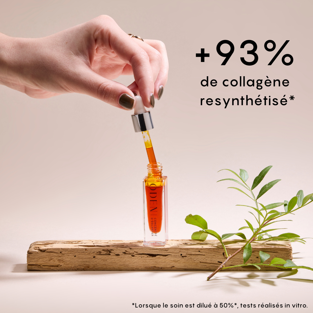 CONCENTRÉ D’ÉGLANTIER